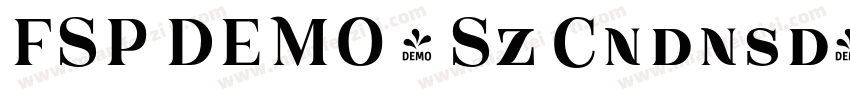 FSP DEMO - Sz Cndnsd字体转换